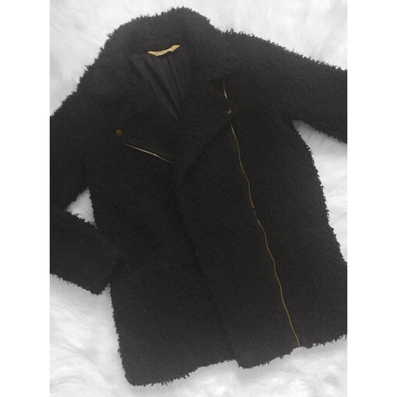 hollister teddy bear